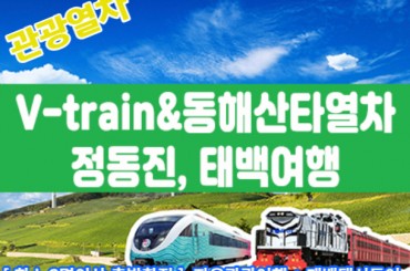 [청량리,양평역 출발]V-train / 동해산타열차 정동진, 태백택시투어 1코스 (당일) [ 자유여행 ]