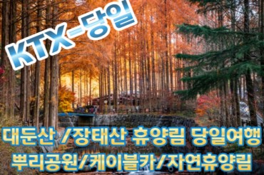 [KTX-당일] 대둔산 구름다리 / 케이블카 / 장태산휴양림 여행(당일) - [3월~11월]  [서울역,수원역] - 중식포함