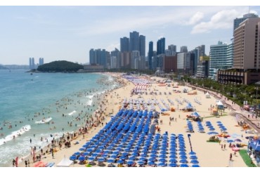 [KTX] 부산시티 투어 ★ 호텔에서 즐기는 호캉스  2박 3일 기차여행- 4명부터 [2일차 자유여행]