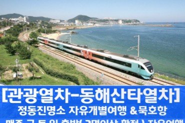 [자유개별여행] 동해산타열차 / 정동진 / 동해 논골담길 / 등대공원 / 묵호어시장 자유 여행(당일)-(금,토,일 출발) 09:37출발