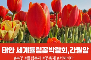 [수도권,경산권출발] [ 봄꽃 ] 태안 세계 튤립꽃박람회 / 간월암(당일) 4월11일~5월6일