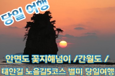 안면도 꽃지해변 /예산 수덕사 / 태안노을길 5코스 별미여행 [충청도 별미여행] [용산역,영등포역,수원역]
