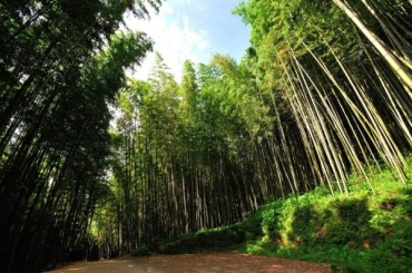 [KTX] 남도별미 2박3일 여행 (담양/곡성/남해/여수/순천) [호텔]-3월~11월 [8명]~