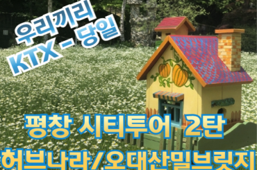 [ KTX - 우리끼리]  평창택시투어 (2탄) 향기정원 허브나라 /  오대산 밀브릿지 여행 (당일)