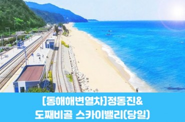 [수도권,충청권,경상권] [동해해변열차] 정동진 / 도째비골 스카이밸리(당일)  [청량리역,천안아산,대전역,동대구역,포항역,부전역,경주역,동대구역]