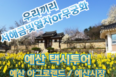 [서해금빛열차 or 무궁화 / 예산관광택시] 아름다운 예산 아그로랜드/ 예산시장 (당일) 2026년3월부터