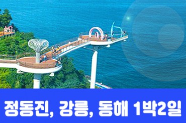 [수도권,충청권,경상권] [동해해변열차] 강릉 / 정동진 / 동해 (1박2일) [청량리역,양평역,대전역,부전역,태화강역,동대구역,경주역,포항역.천안아산역]