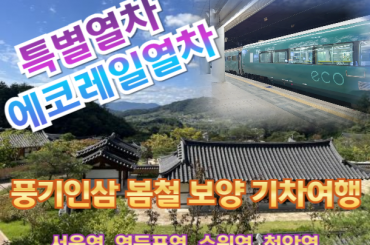 [특별열차-에코레일 열차] 풍기인삼 봄철 보양 기차여행 (2식포함) (당일) [트레인스토랑] [5월 2일(토) ] [서울역,영등포역,수원역,천안역]