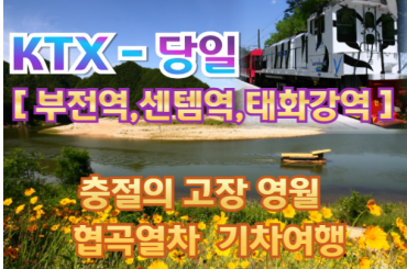 [협곡열차-경상권] 충절의 고장 영월 / 협곡열차 하루 (당일) 기차여행 -[중식, 석식(도시락)제공] [부전역,센텀역,태화강역,경주역]