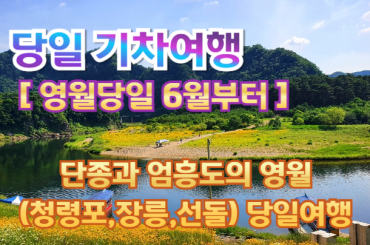 [ 당일 ] 단종과 엄흥도의 영월 (청령포,장릉,선돌) 당일 기차여행 (중식제공) - 6월부터  [청량리역]
