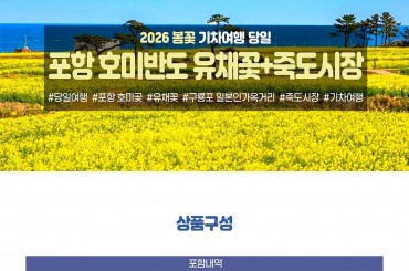 [수도권,충청권,경상권] 포항 호미반도 유채꽃 / 죽도시장(당일) [서울역,대전역,동대구역,부산역,부전역,울산역,마산역]